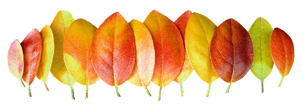 Niema's Clip art Collection Niema's Clip art Collection