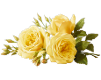 Niema's Clipart Collection